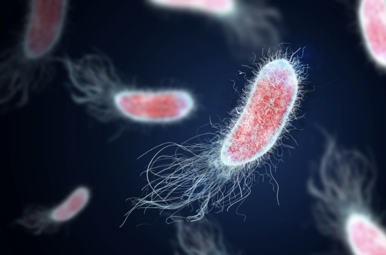 Brûlures en urinant : infection urinaire ou autre cause ?
